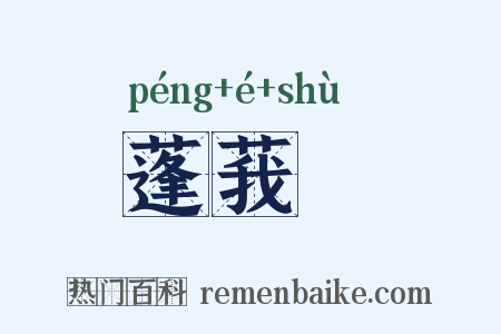 蓬莪荗是什么意思的图片